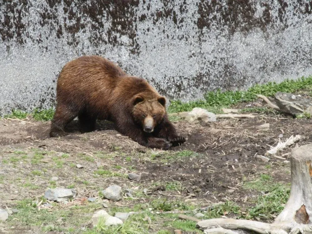 Sitka Scenic Tour - 4