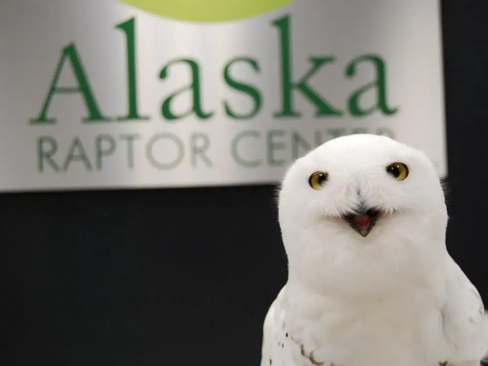 Premium Sitka Scenic Tour - 3