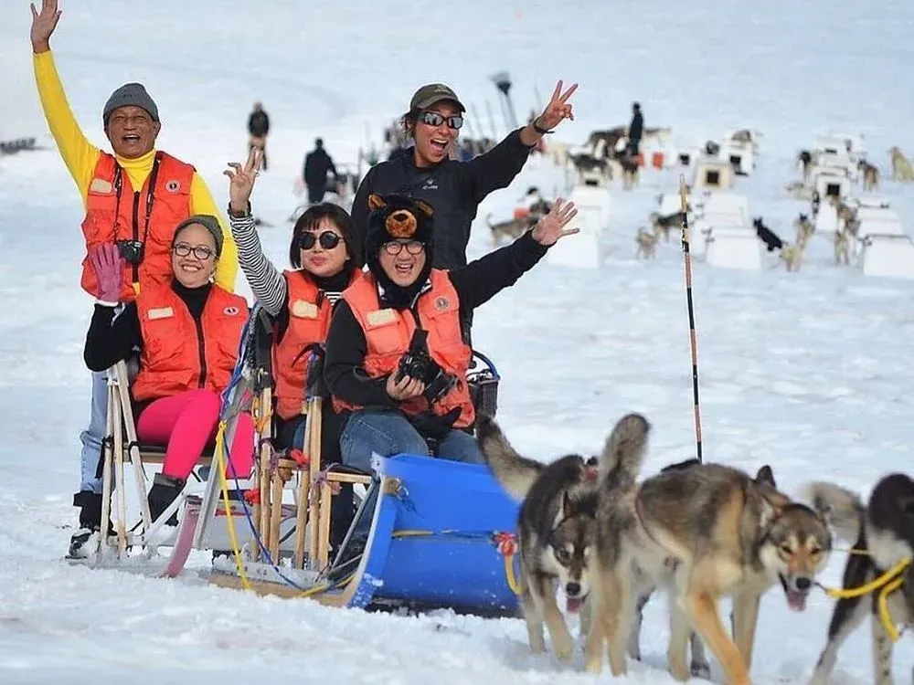 Glacier Dog Sled Experience by Helicopter | Voyij.com