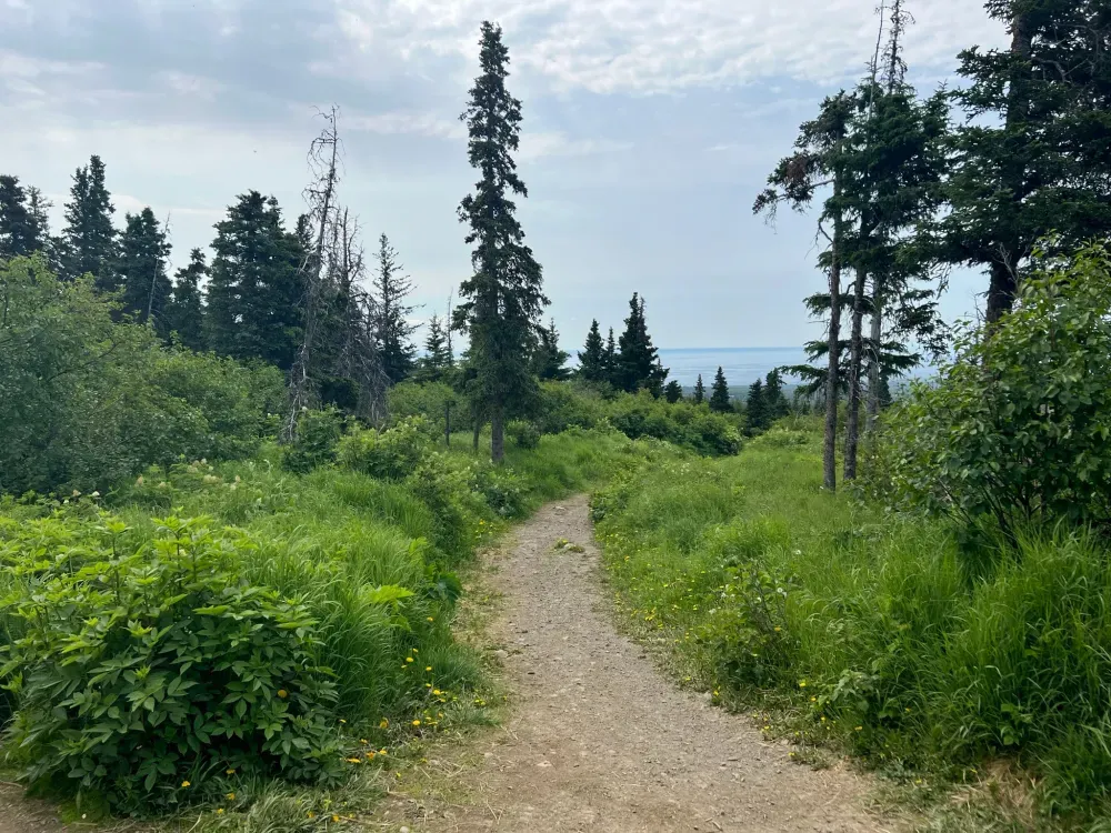 Chugach State Park Nature Walk - 2