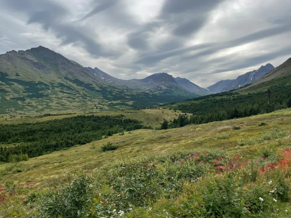 Chugach State Park Nature Walk - 3