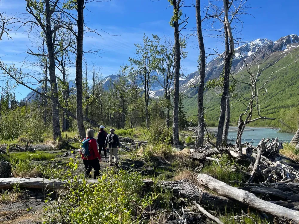 Summer Valley & Forest Hike - 2