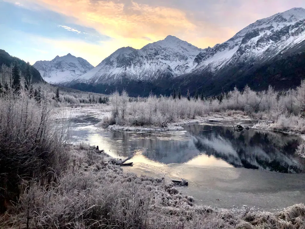 Winter Valley & Forest Hike - 1
