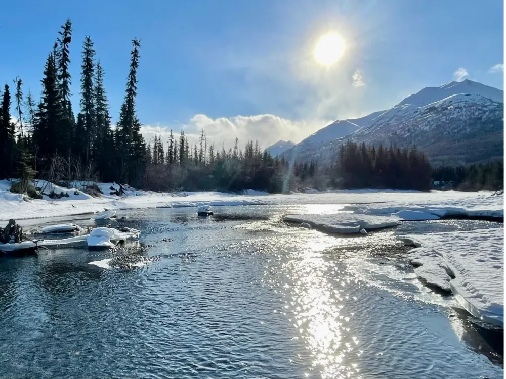 Winter Valley & Forest Hike - 3