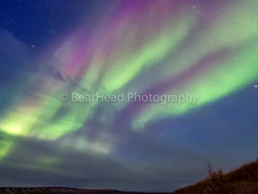Northern Sky