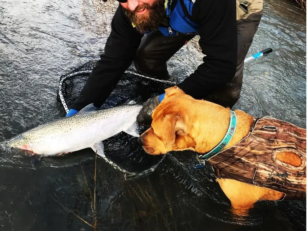 1/2 Day Walk And Wade Flyfishing Trip - 4
