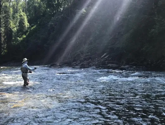1/2 Day Walk And Wade Flyfishing Trip
