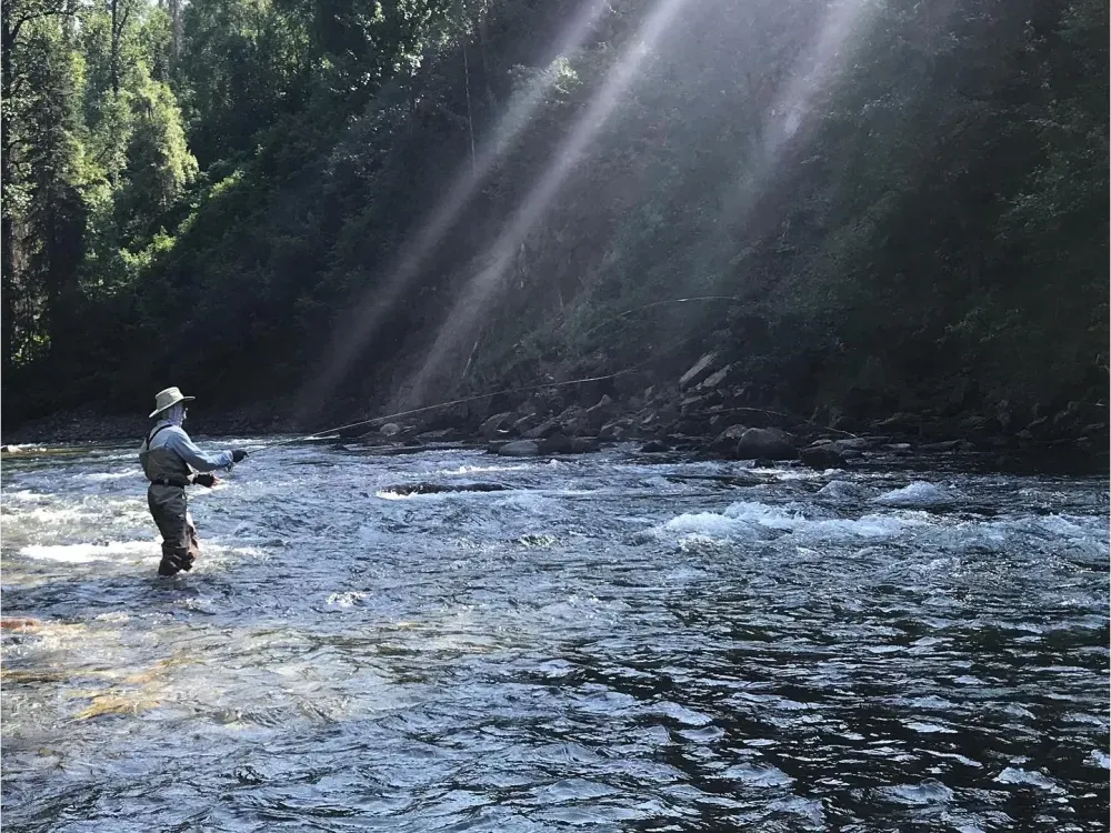 1/2 Day Walk And Wade Flyfishing Trip - 1