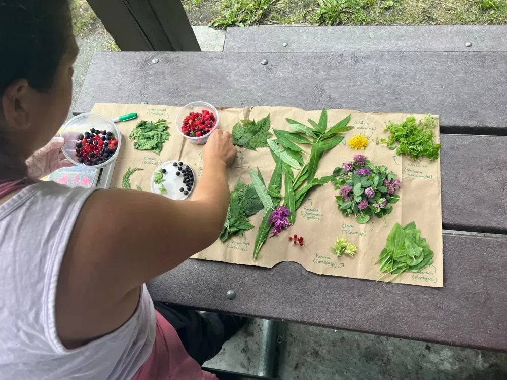 Backcountry Eats & Foraging Treats - 2