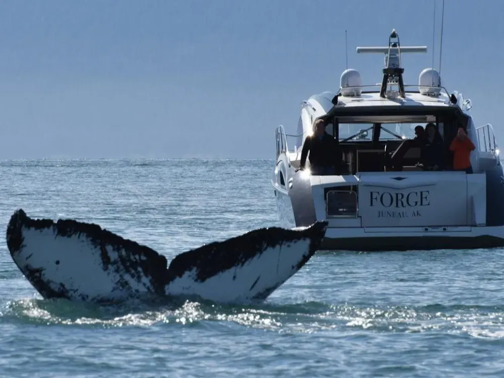 5 Star Juneau By Land & Sea - 4