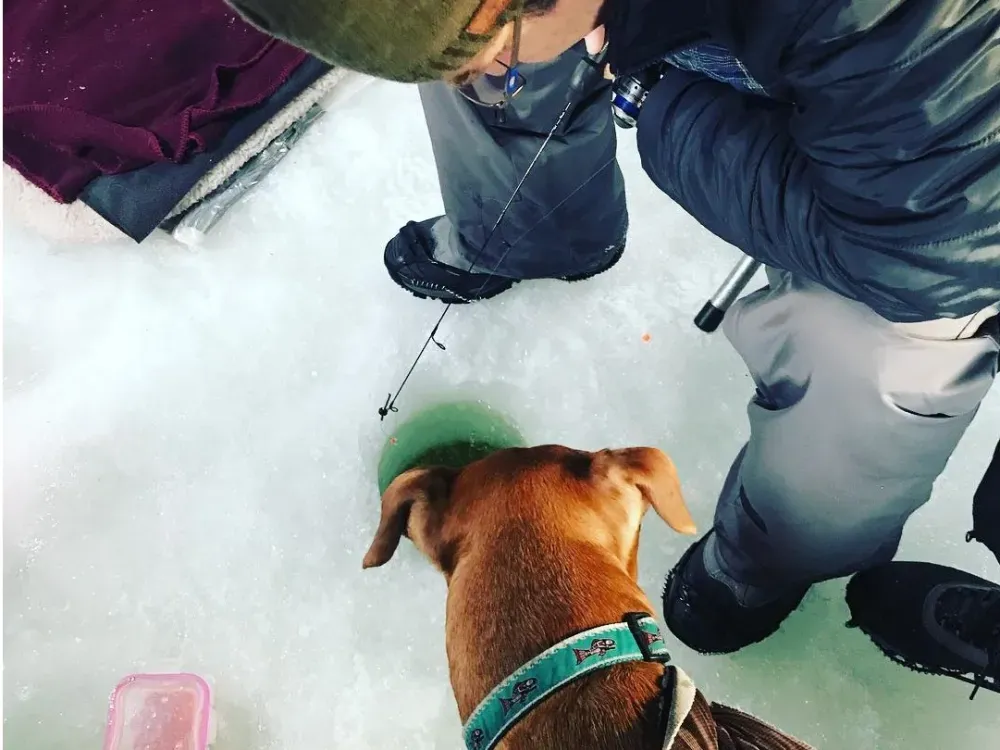 Half Day Guided Ice Fishing Trip - 4