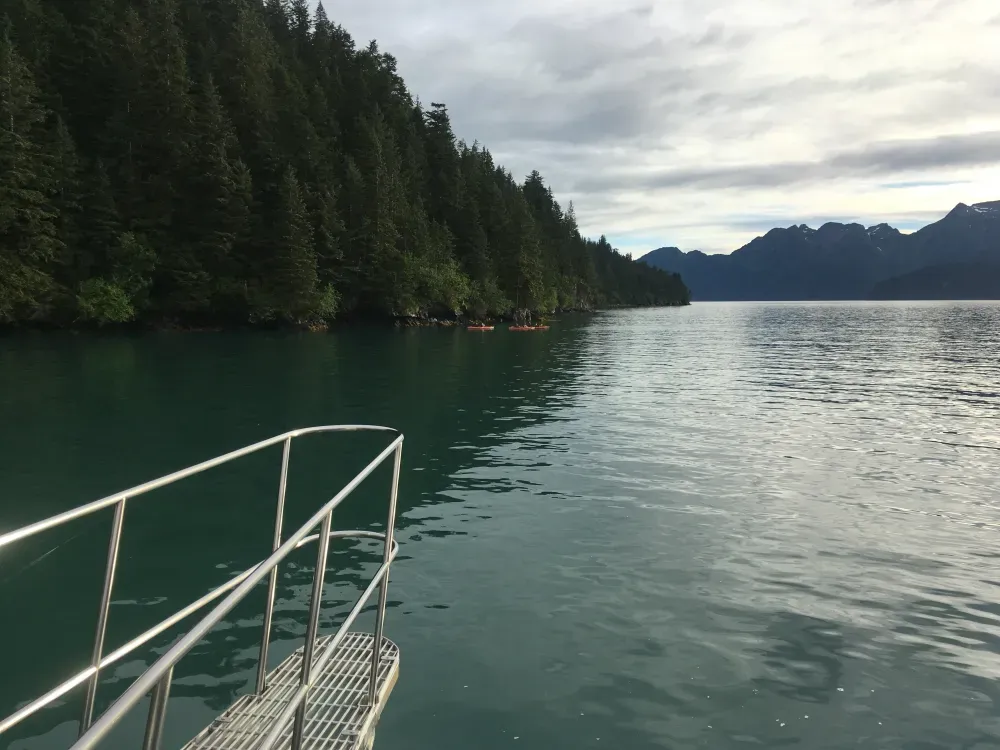 Resurrection Bay 8 Hour Sightseeing Tour - 3