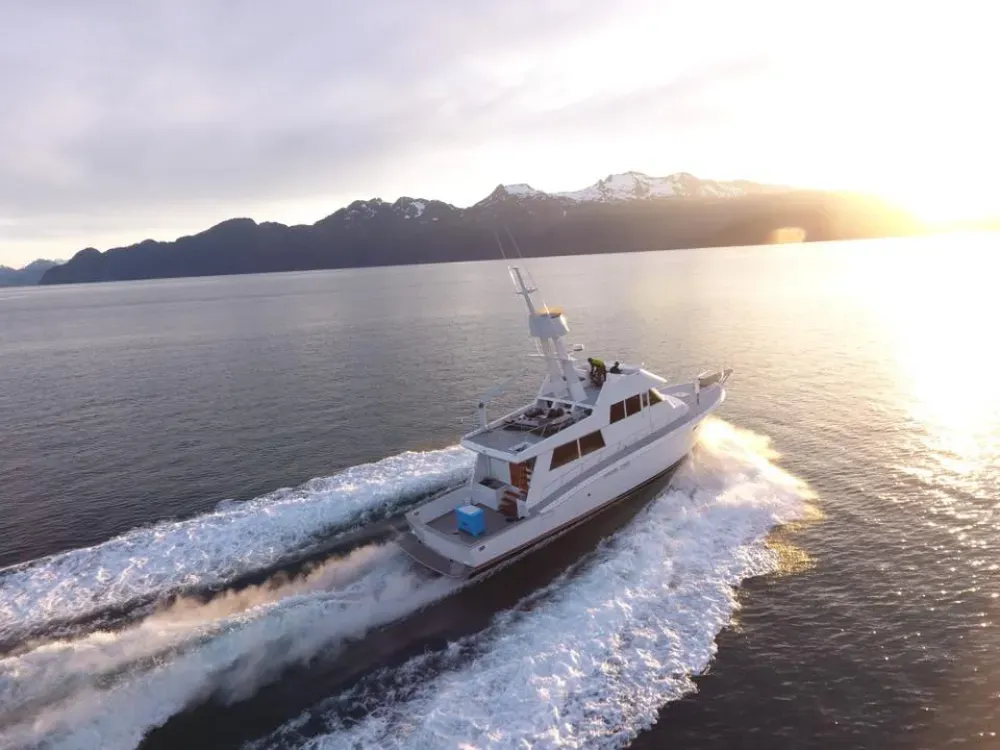 Resurrection Bay 8 Hour Sightseeing Tour - 5