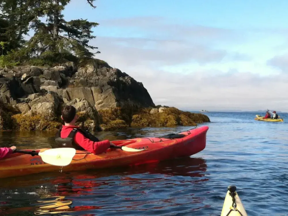 Kayak Eco-Tour - 1