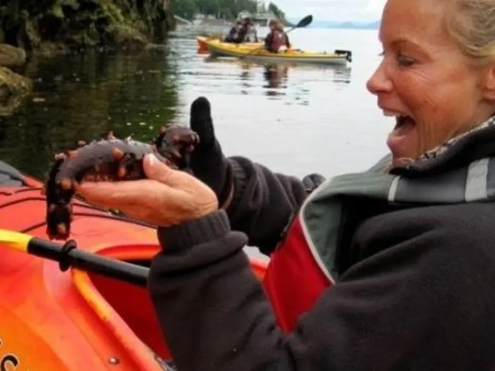 Kayak Eco-Tour - 2