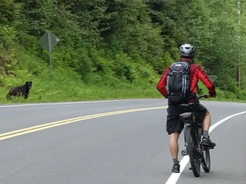 E-Bike & Hike - 2