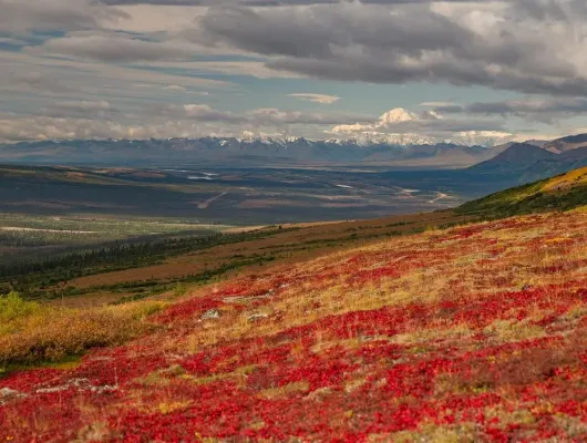 Denali Heli Hiking Expedition