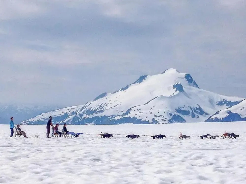 Juneau Dog Sledding On The Mendenhall Glacier - 1