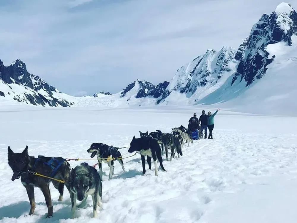 Juneau Dog Sledding On The Mendenhall Glacier - 3