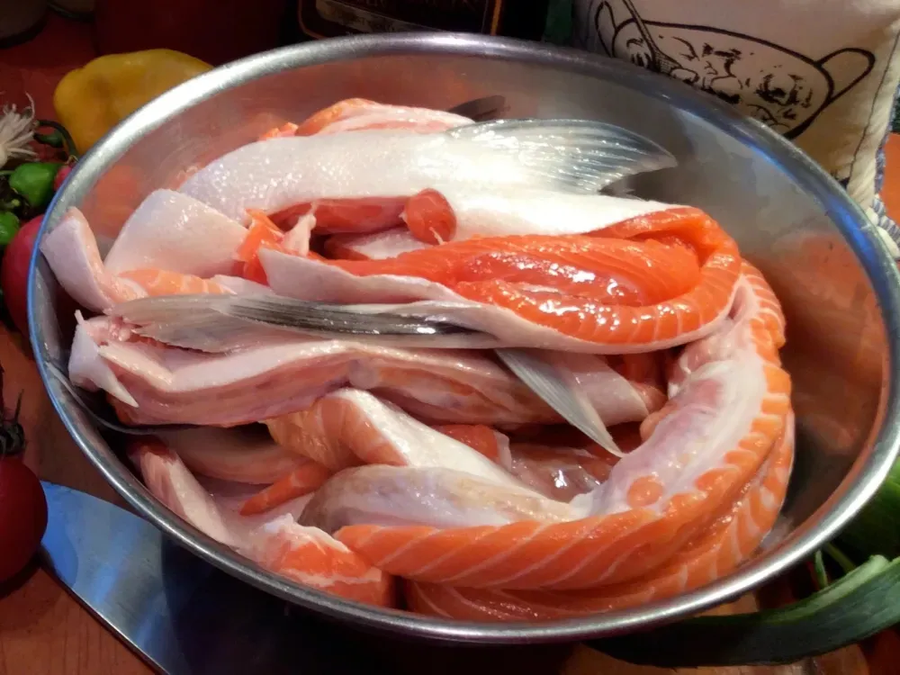 Alaska King Salmon Collars - 2