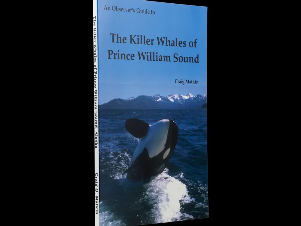 The Killer Whales of Prince William Sound - 2