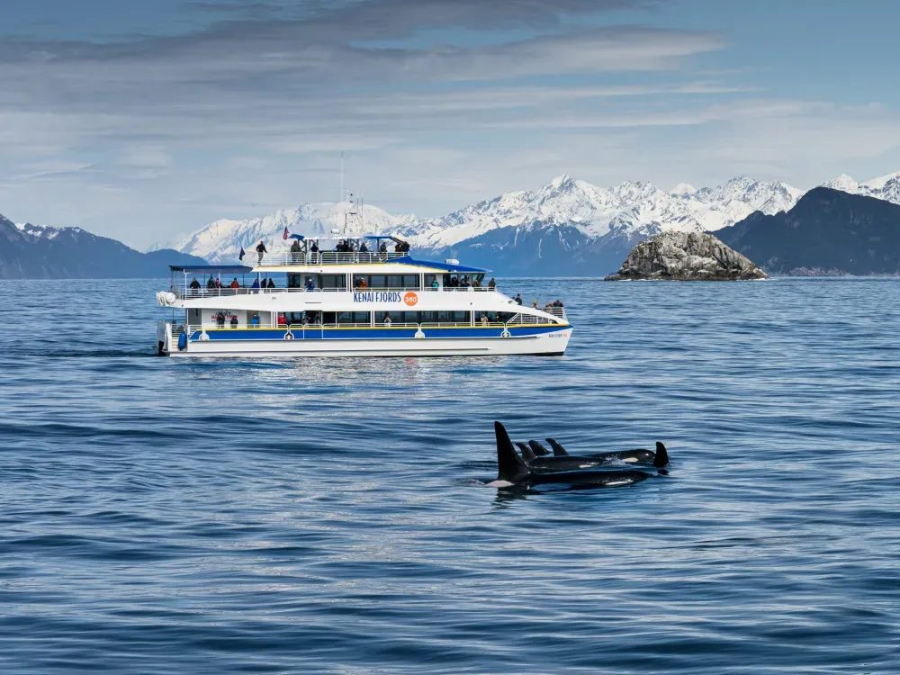 6 Hour Kenai Fjords National Park Cruise - 2