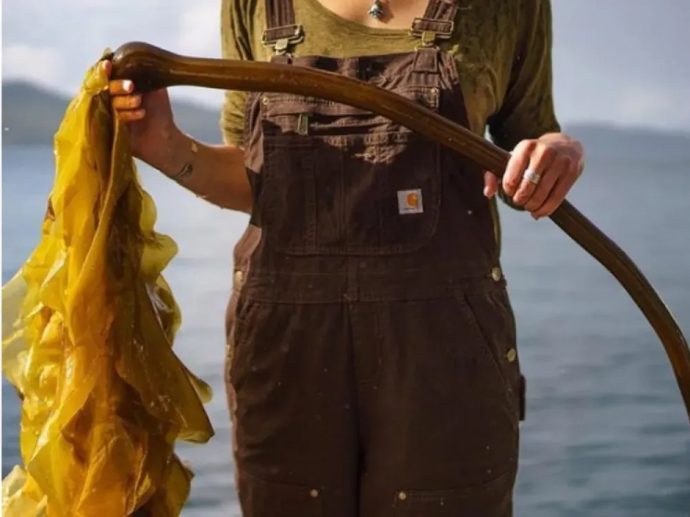 Kelp Seasoning - Kelp Pow - 3