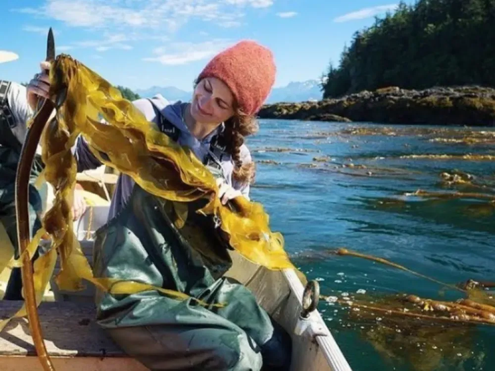 Kelp Seasoning - Kelp Pow - 4
