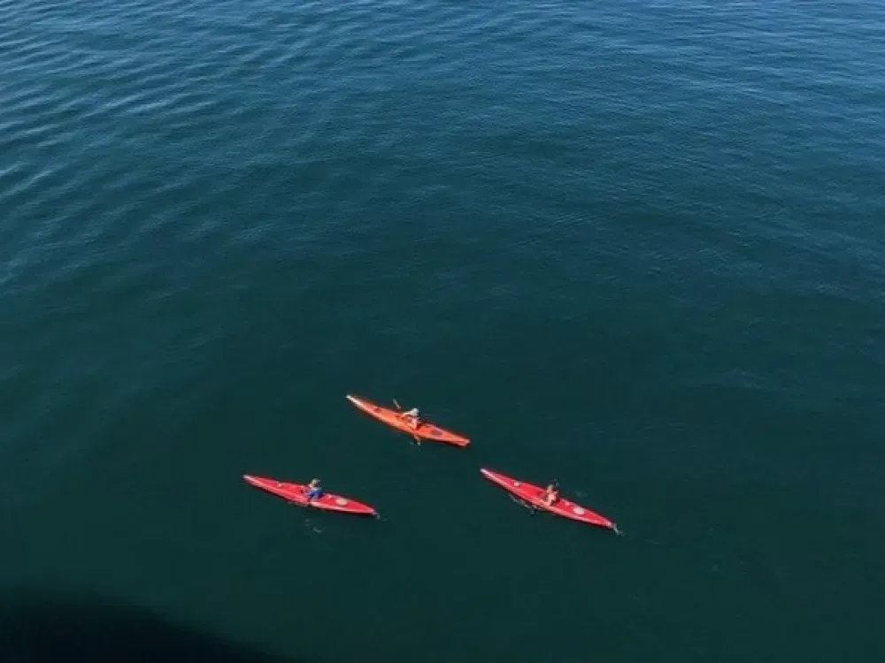 Guided Kayak Tour - 3