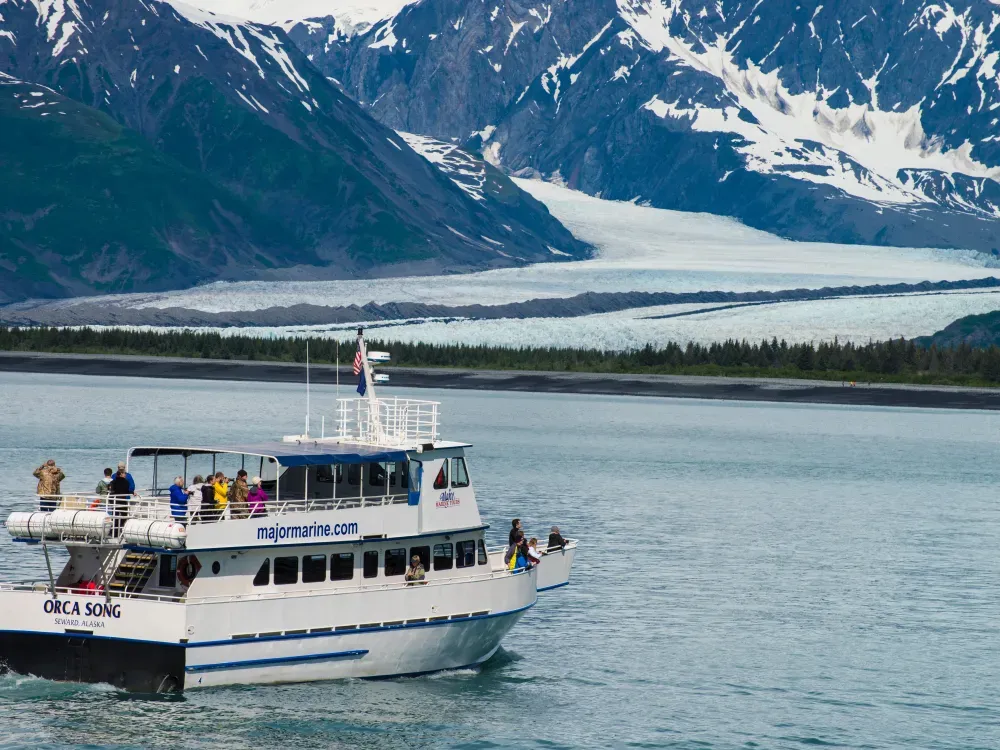 4 Hour Kenai Fjords Wildlife Cruise - 3