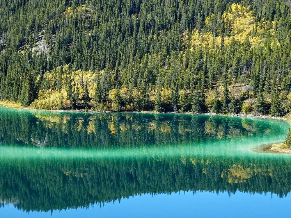 Yukon Discovery Tour - 4