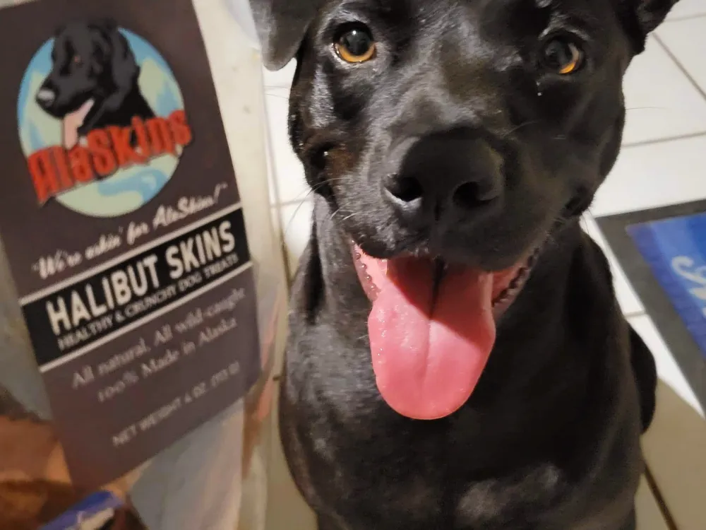 AlaSkins Halibut Dog Treats