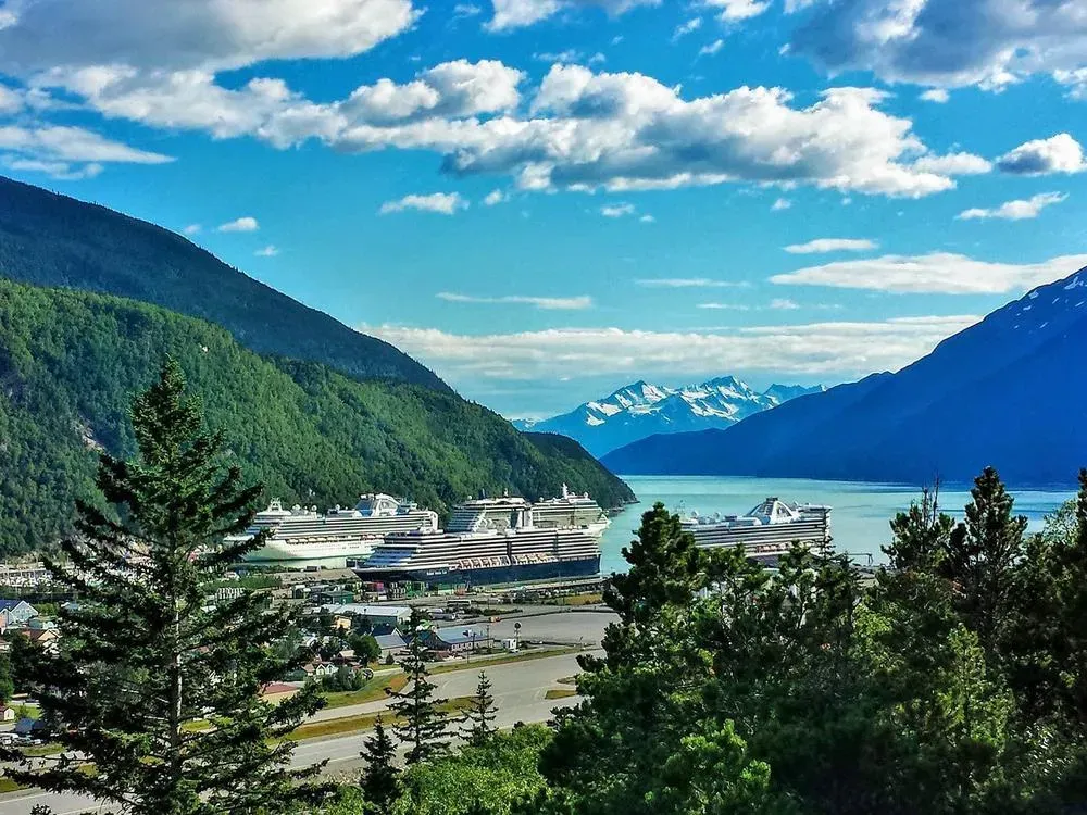 White Pass Summit & City Tour - 4