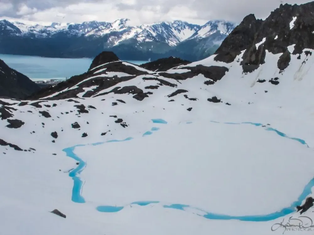 Glacier Landing and Mountain Viewing Tour - 5