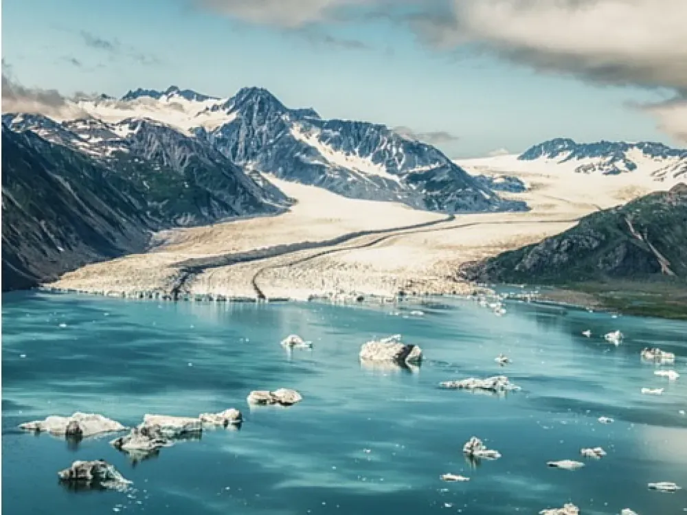 Bear Glacier Scenic Flight - 3