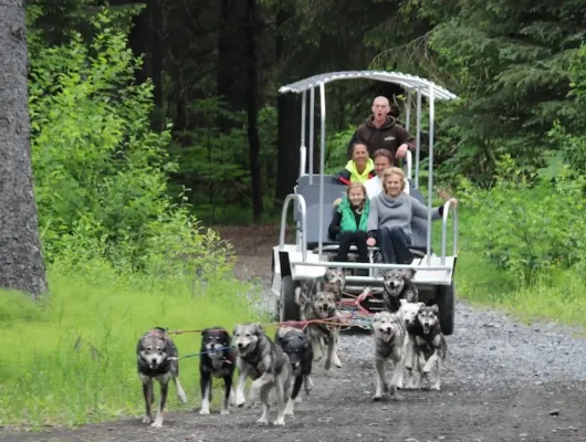 Turning Heads Kennel Tour & Dog Sled Ride