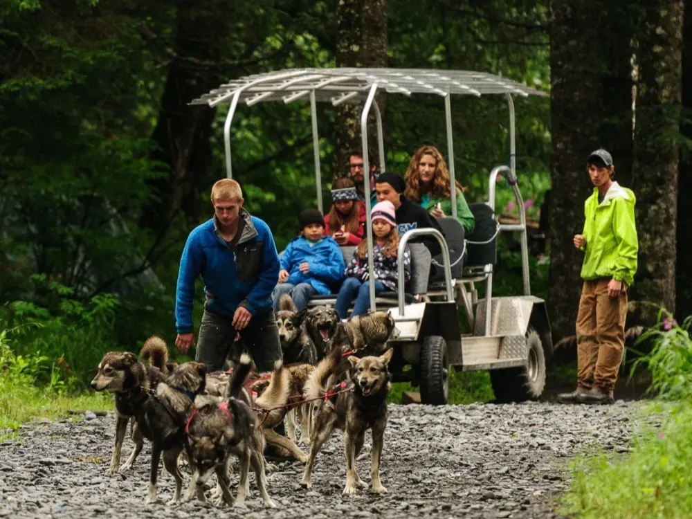Turning Heads Kennel Tour & Dog Sled Ride - 4