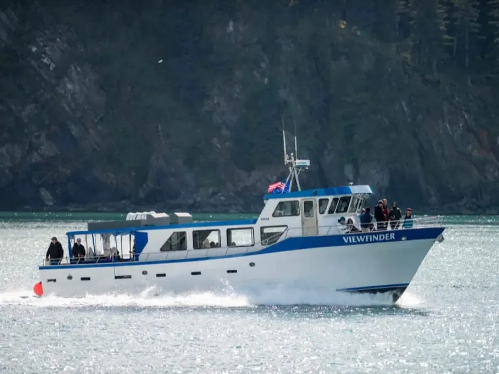 8.5 Hour Northwestern Fjord Cruise - 5