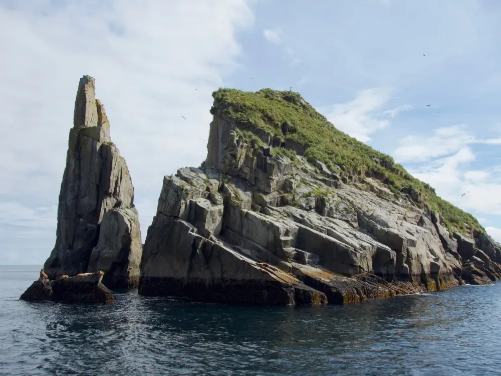 8.5 Hour Northwestern Fjord Cruise - 3