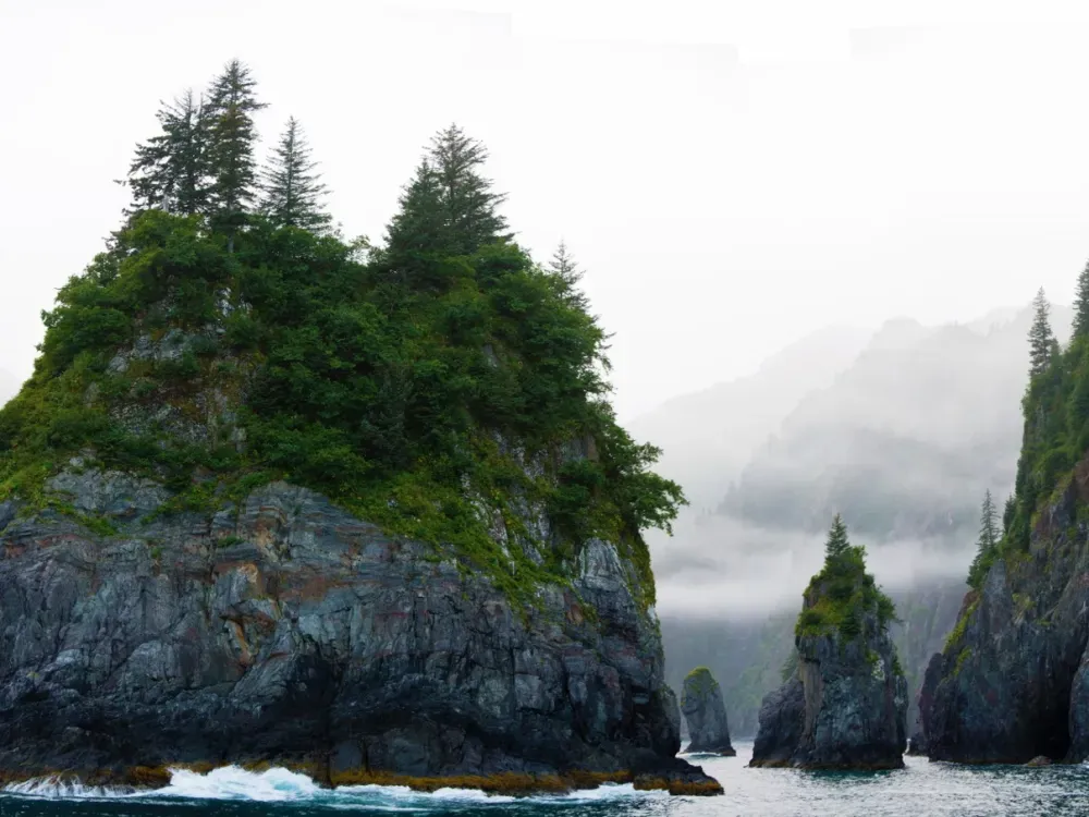 8.5 Hour Northwestern Fjord Cruise - 4