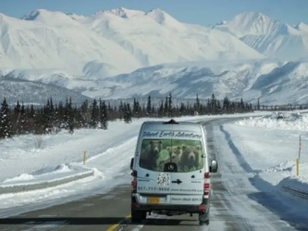 Winter Alaska Wildlife Tour - 4