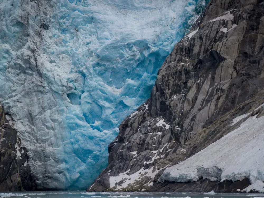Glacier & Wildlife Discovery Tour - 3