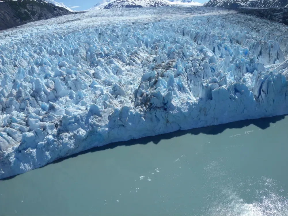 Glacier & Wildlife Discovery Tour - 1