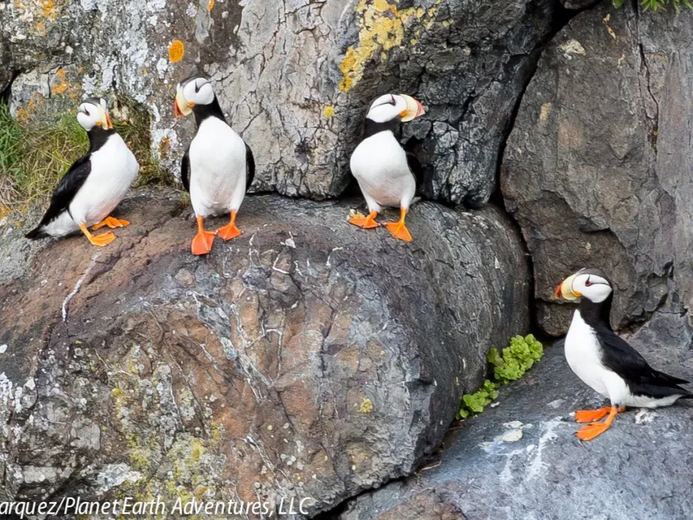 Day in Seward & Kenai Fjords National Park - 2