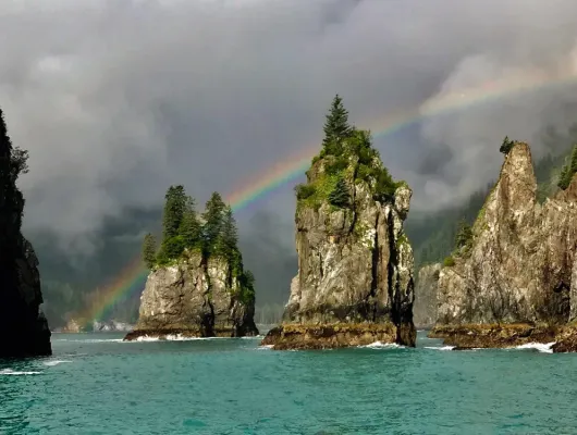 6.5 Hour Kenai Fjords National Park Wildlife & Glacier Tour
