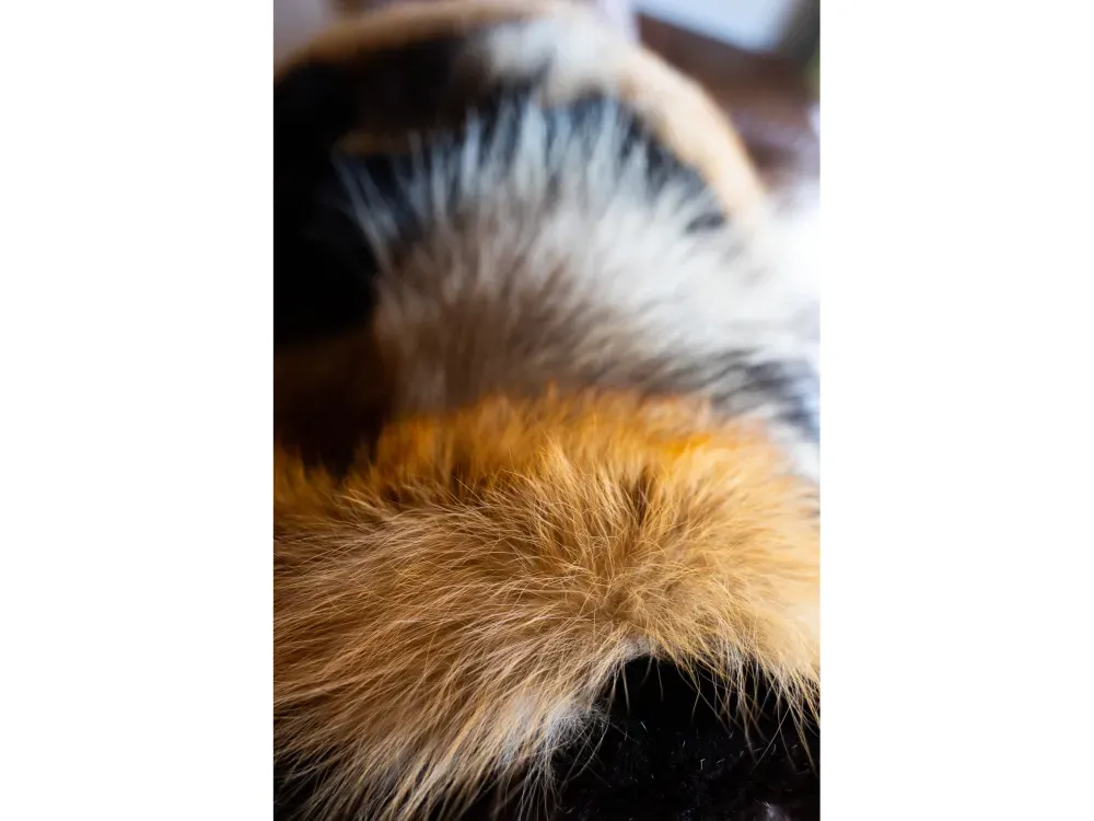 Sensory Fur Lap Blanket - 5