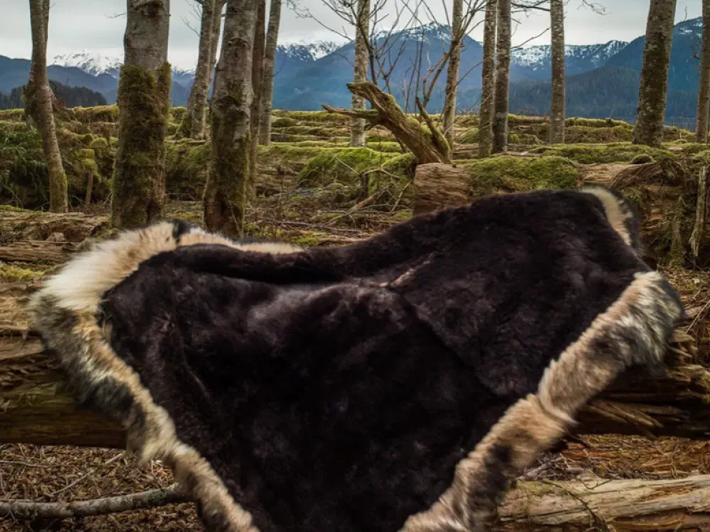 Sea Otter Fur Blanket with Alaskan Timberwolf Trim - 1