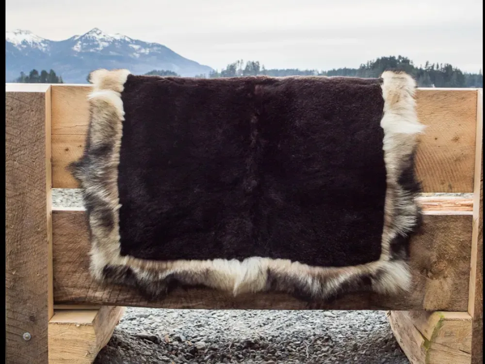 Sea Otter Fur Blanket with Alaskan Timberwolf Trim - 5