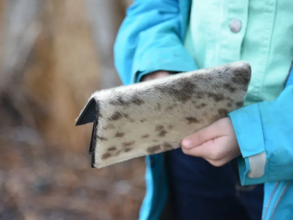 Women's Seal Fur Wallet - 1