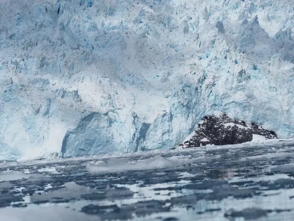 Aialik Glacier Paddle Boat Tour & Kayaking Adventure - 4